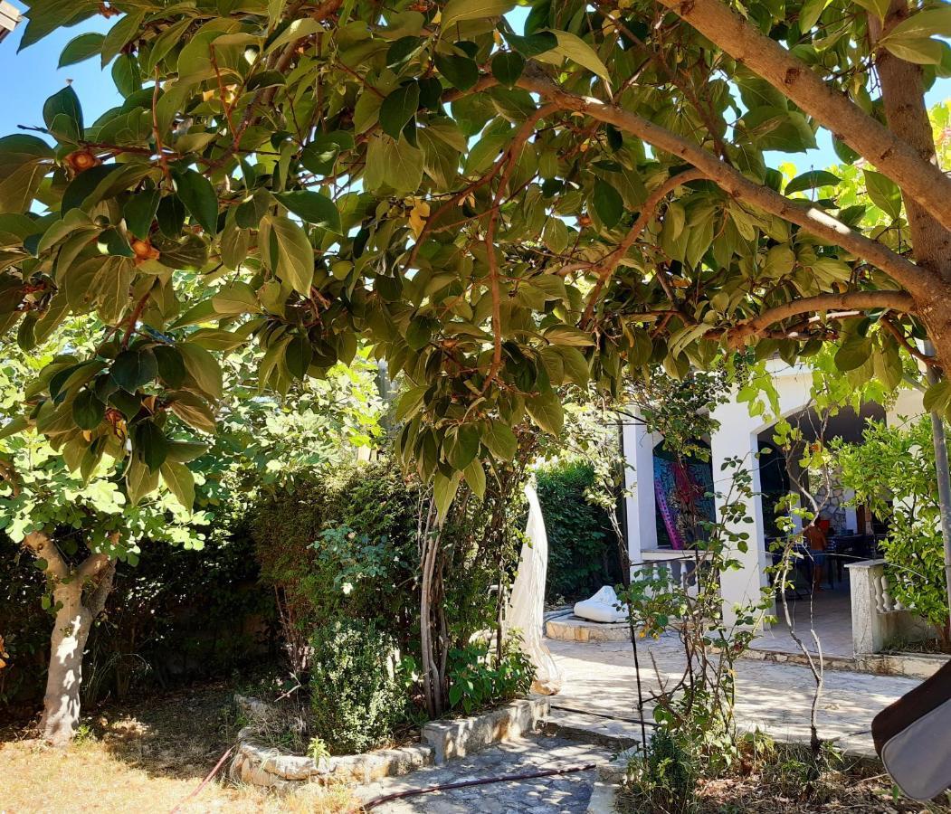 Apartment Villa.sunny.nin Nin