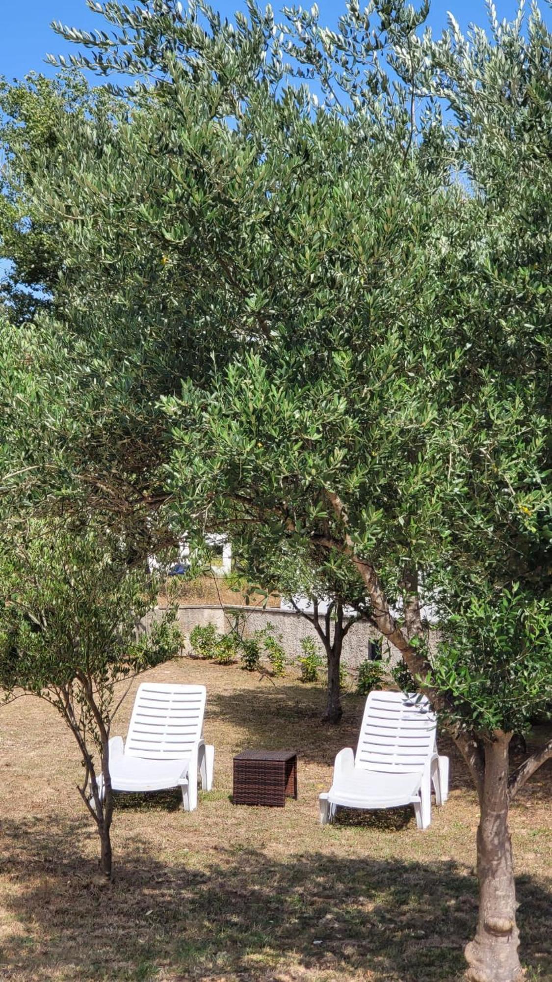 Villa.sunny.nin Apartment