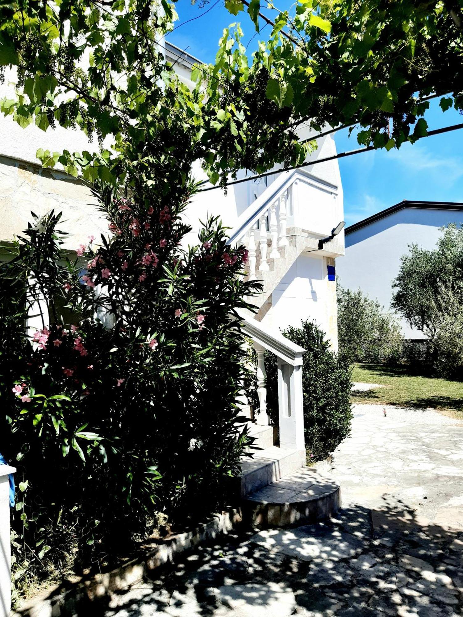 Apartment Villa.sunny.nin *